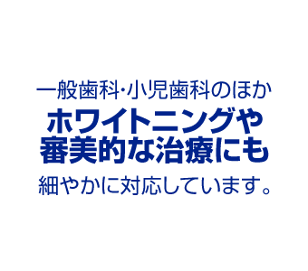 一般歯科・小児歯科のほかホワイトニングや審美的な治療にも細やかに対応しています。